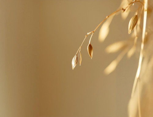 ¿Tiene sentido invertir en oro a los precios actuales [2026]?